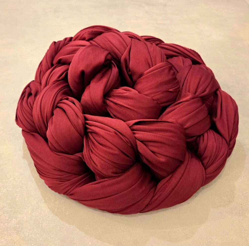 20251019_182636-1-e1761079423610.jpg בד טיסו לאקרובטיקה אוירית – תמונה 1