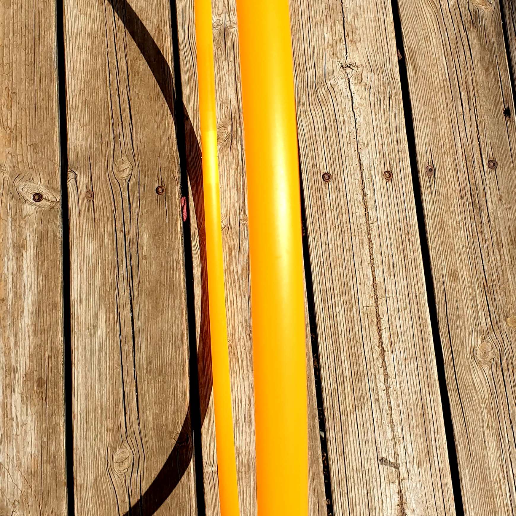 חישוק-פוליפרו_כתום-לא-מלא.jpg חישוק פוליפרו 3/4 כתום קיץ US – תמונה 1